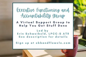 Executive Functioning and Accountability